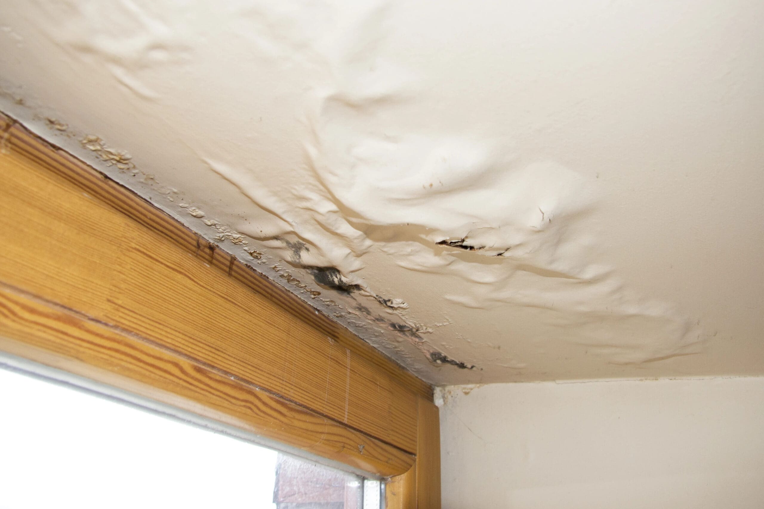 Leaky Roof / Sunset Restoration